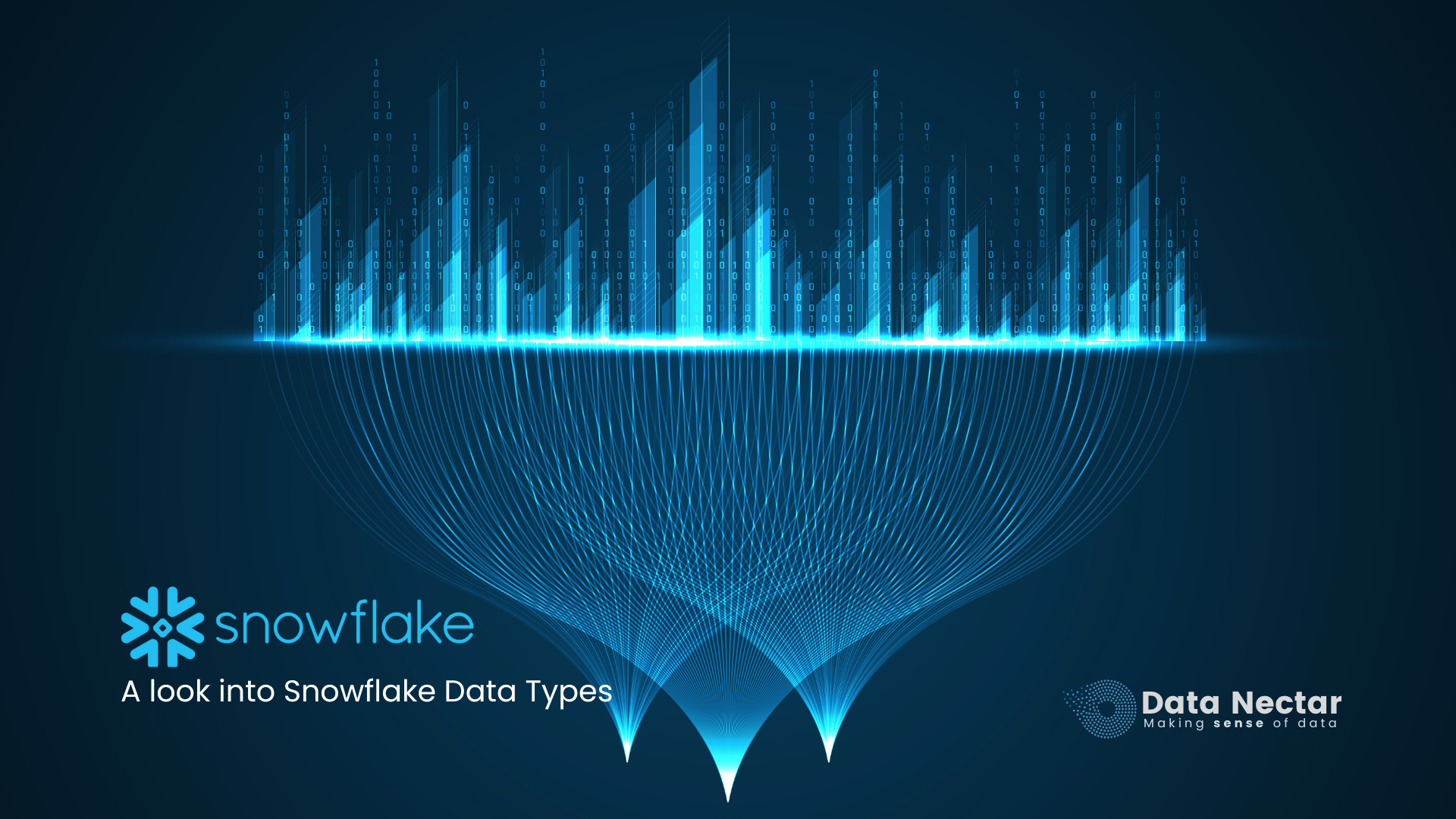 a-look-into-snowflake-data-types-data-nectar